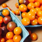 13912550_1066206190083995_7512270905046149292_n